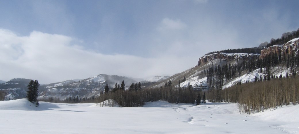 a cold day in the back yard
