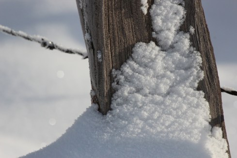 cedar post barbed wire and snow