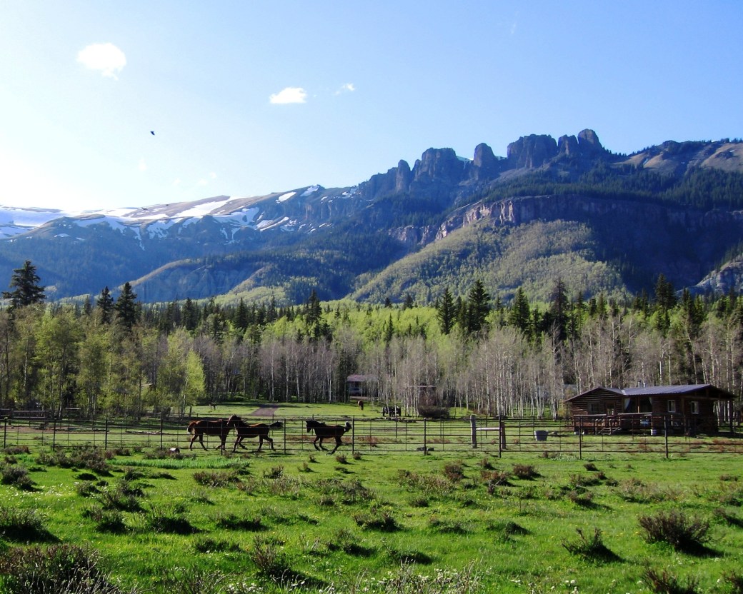 kicking up their heels at lost trail ranch
