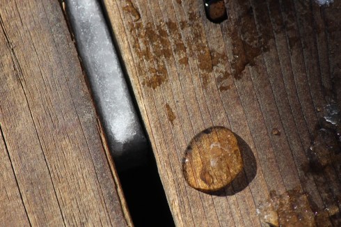 melted snow on the deck mid day today