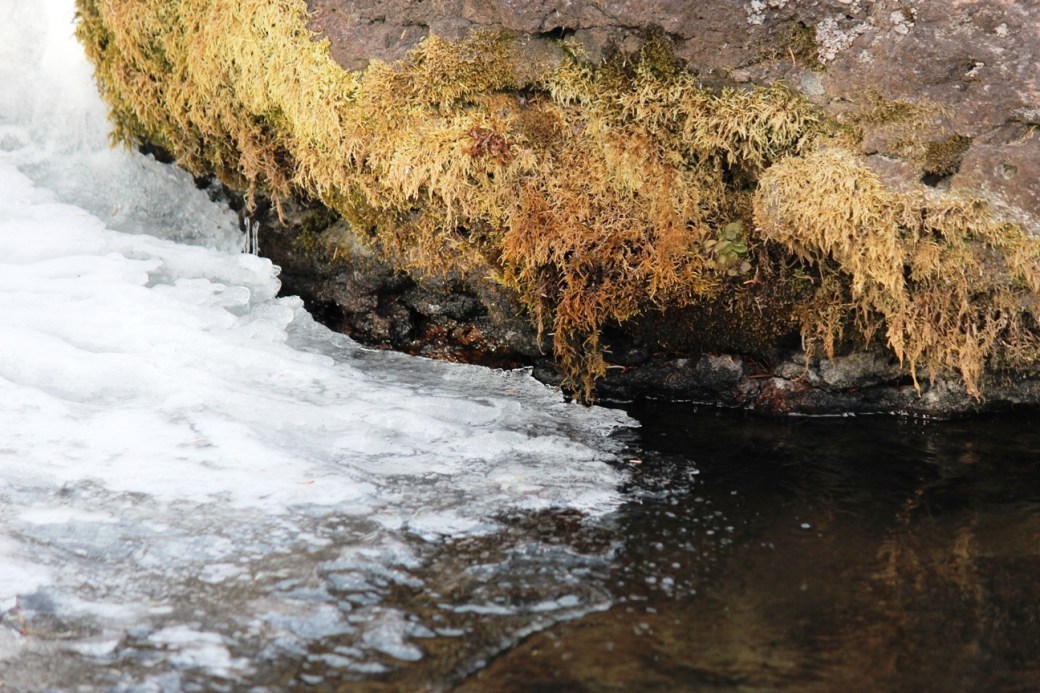 moss rock water ice