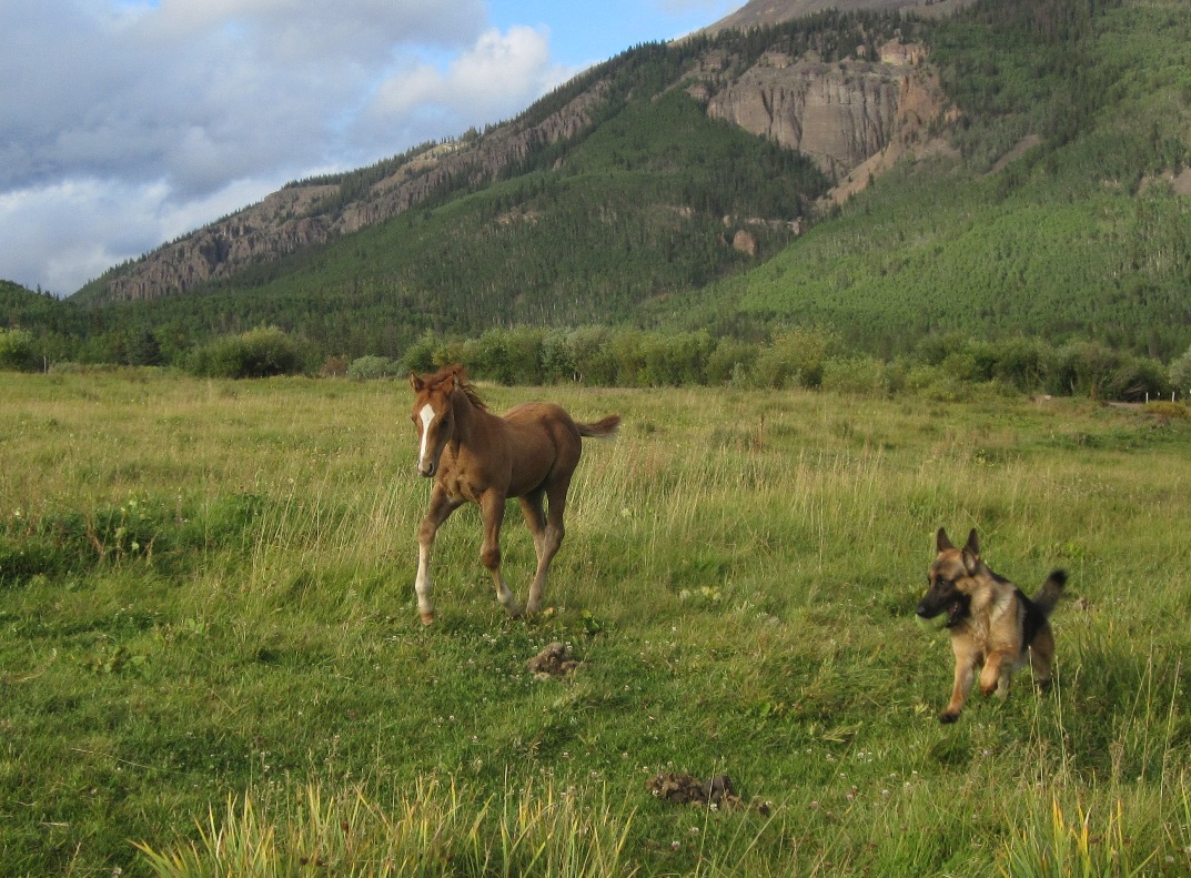 segundo and gunnar playing ball