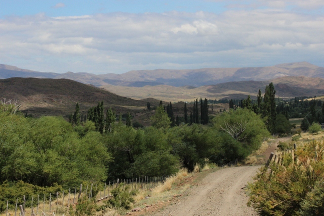 just up the road from the chacra (640x427)