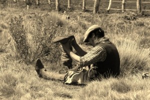 a survivor (640x427)