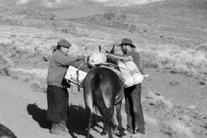 alcides and bob repacking the mule (640x427)