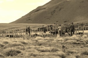 at the branding (640x427)