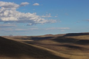 between buta and home (640x427)