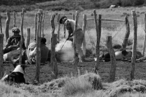 branding 2 (640x427)