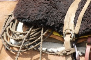 danny's saddle (640x427)