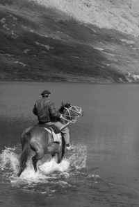 eduardo and horse (427x640)