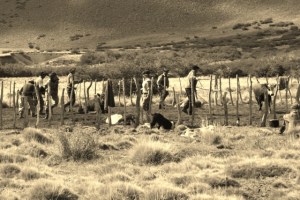 lots going on (640x427)