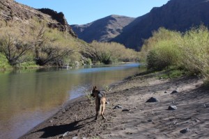 rio trocoman (640x427)