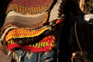 saddle blankets (640x427)