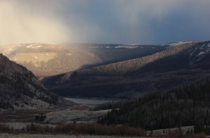last light on dead trees