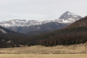 view from the office