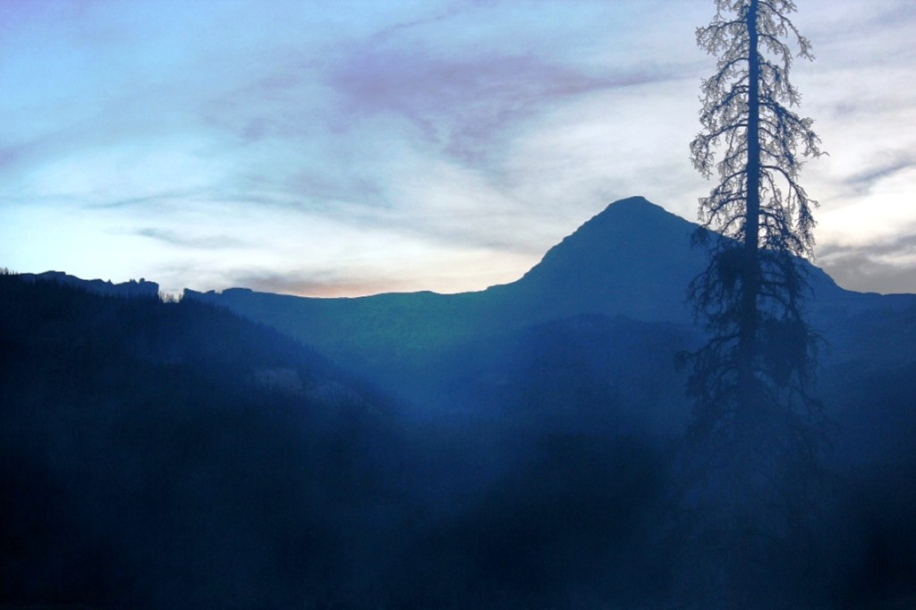 pyramid and window and beetle kill