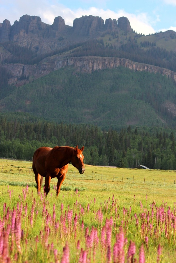 tres and pink elephants