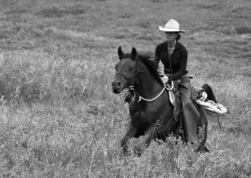 gin getz on flying crow