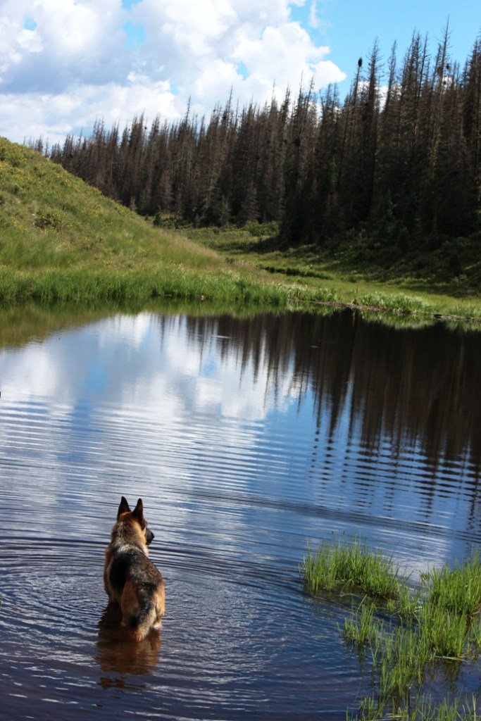 gunnar east of the divide