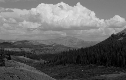 looking north down the weminuche trail
