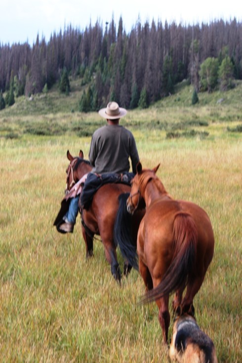 going through the grass