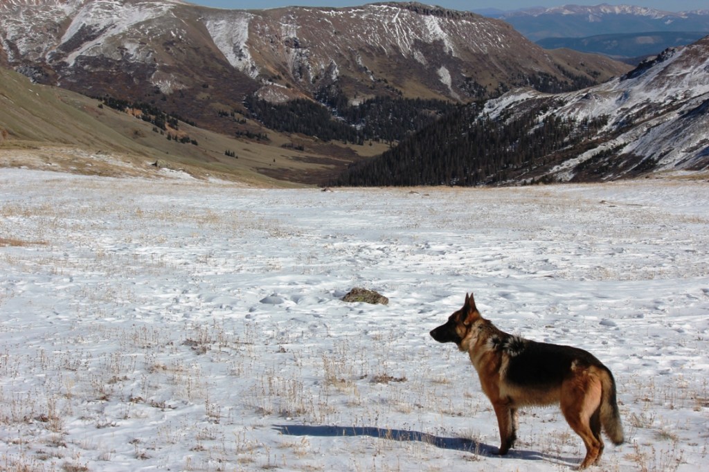 gunnar on the divide
