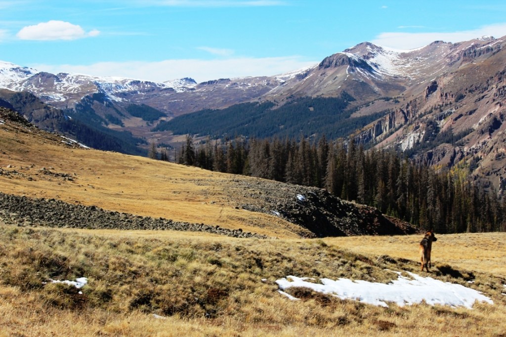 looking up west lost trail