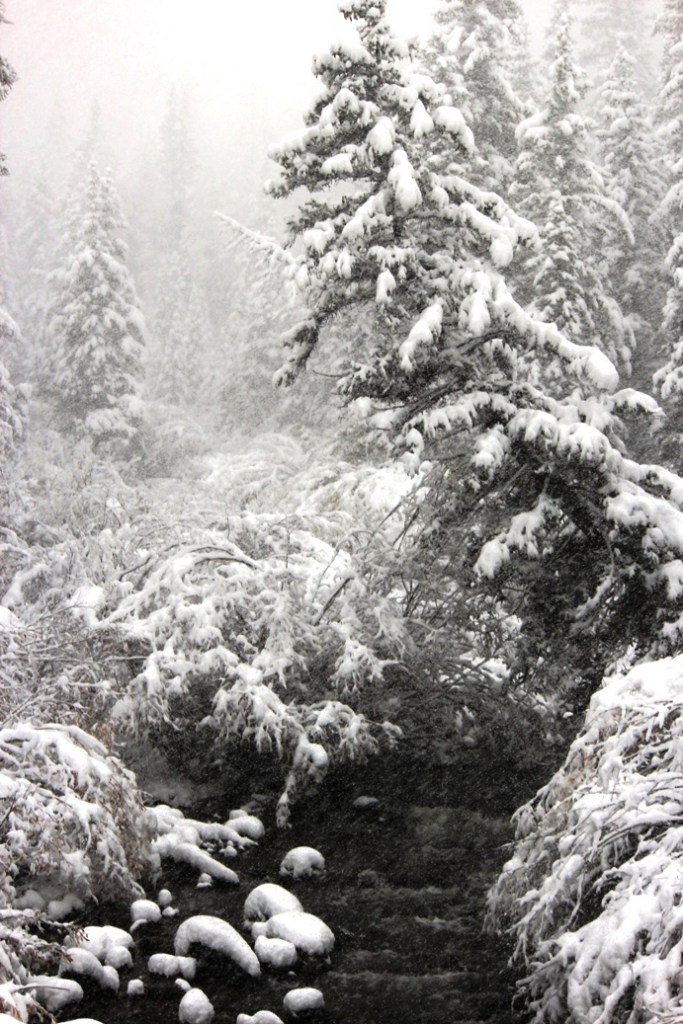 so strange to see the creek open