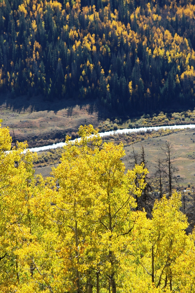 the upper rio grande
