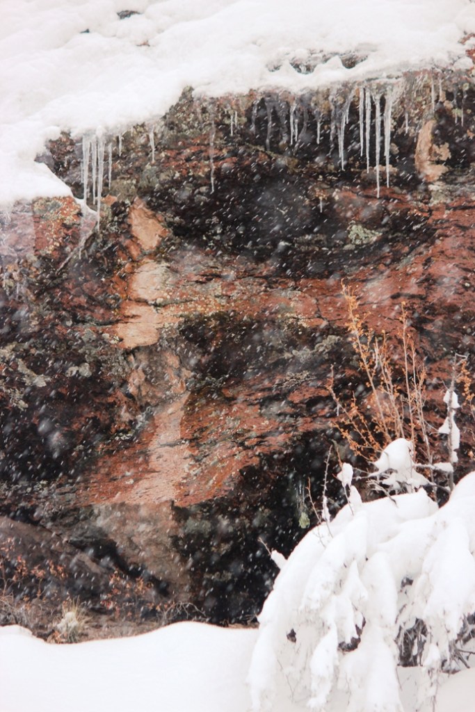 snow ice rock branches