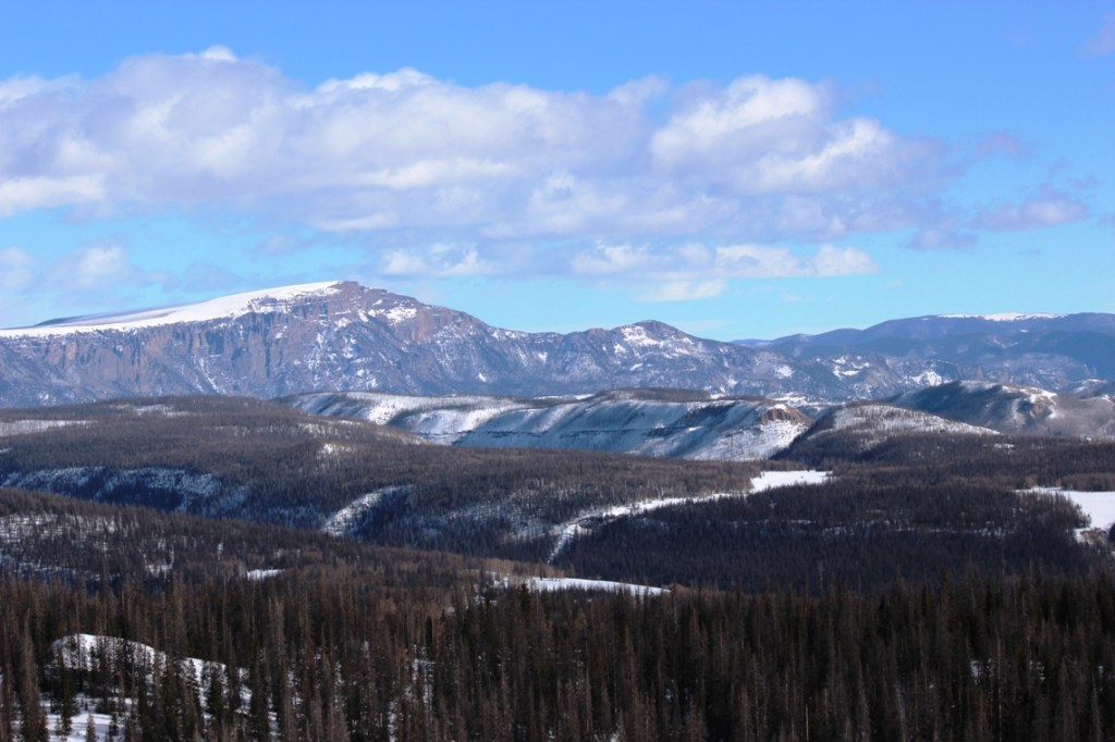 bristol burn and beetle kill