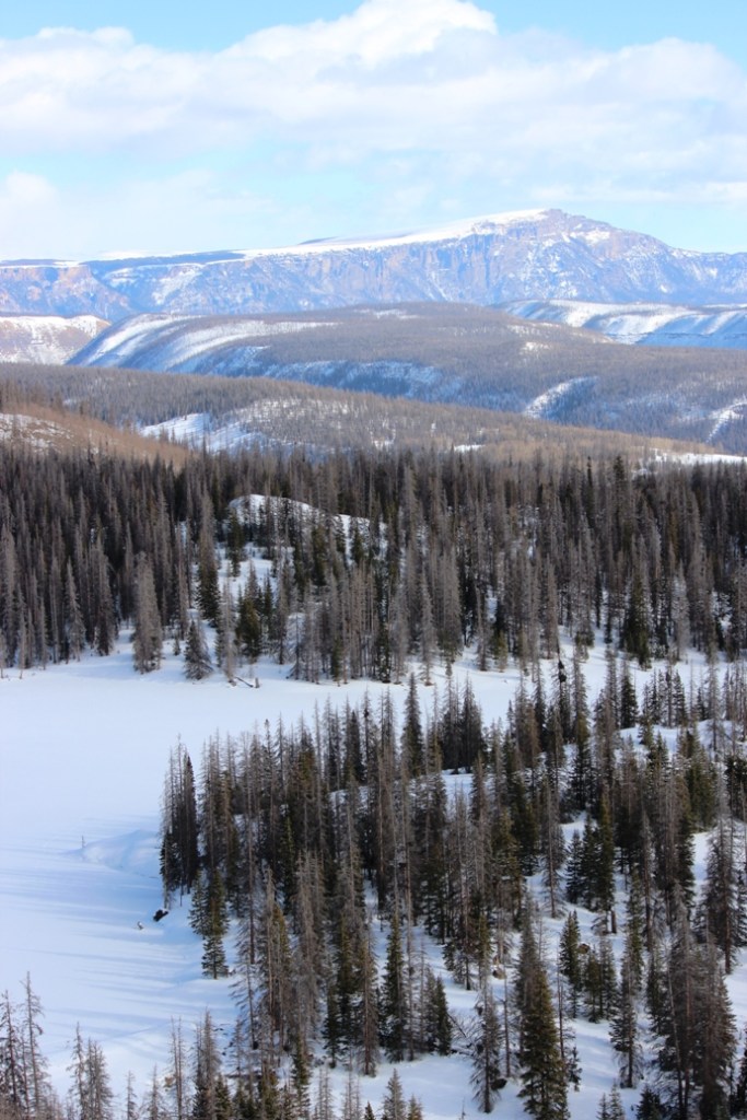 from lost lakes overlook