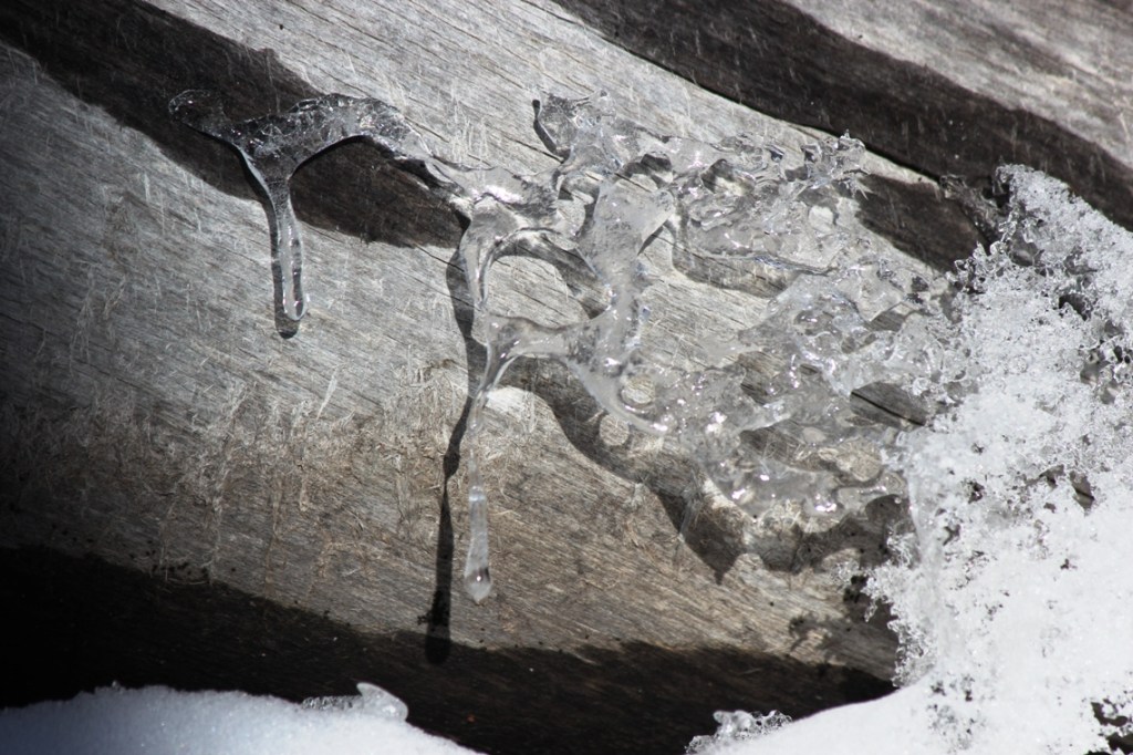 ice on old wood