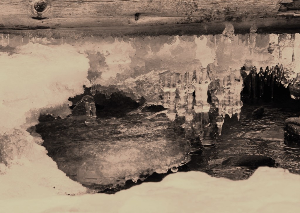 river runs under a washed up log