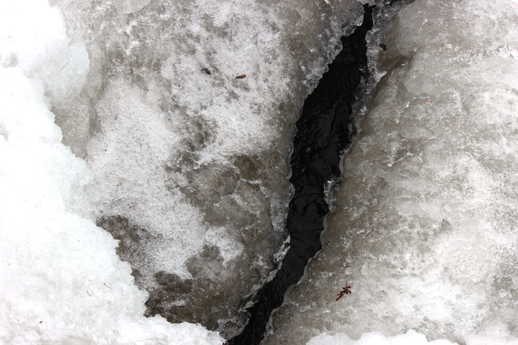 the last of the mighty rio grande