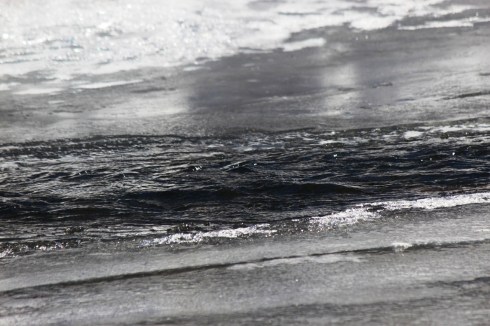 the rio grande freezing