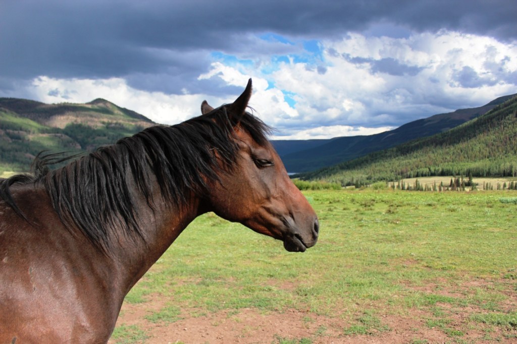 remembering or thinking of the future