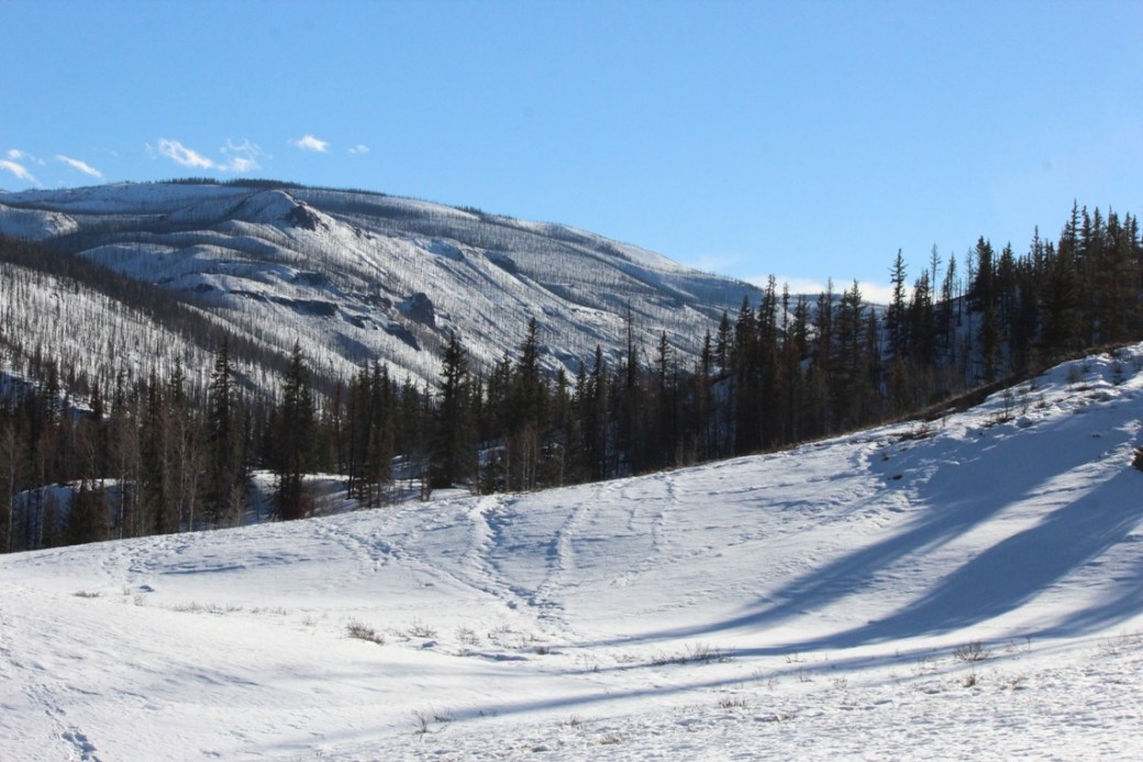 from box canyon trail