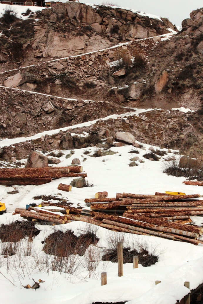logs our side of the river