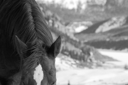 tres above reservoir