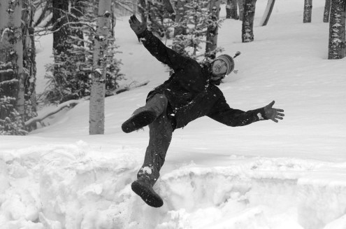 forrest going into snow