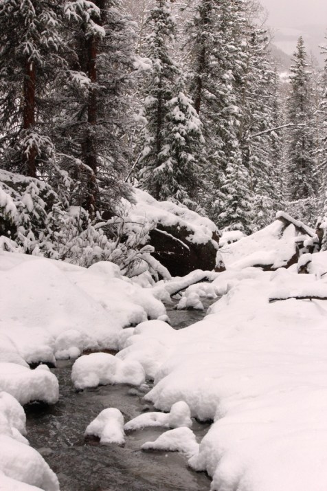 spring creek in snow