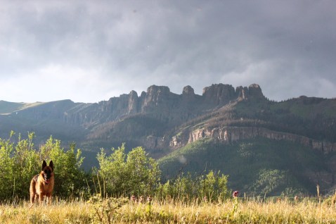 evening light below pole
