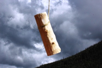 a piece of grandfather tree