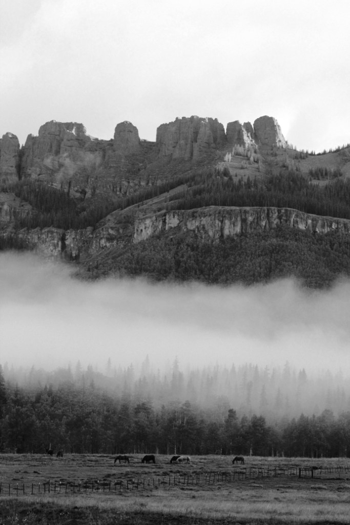 morning fog on pole mountain