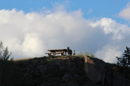 waiting for me to come home