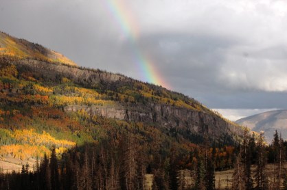 as if the trees were not enough color