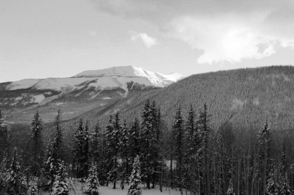 evening up lost trail