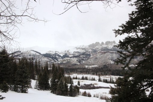 looking back at the ranch