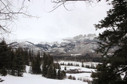 looking back at the ranch